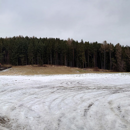 Soubor lesních pozemků, Krajníčko, okr. Strakonice
